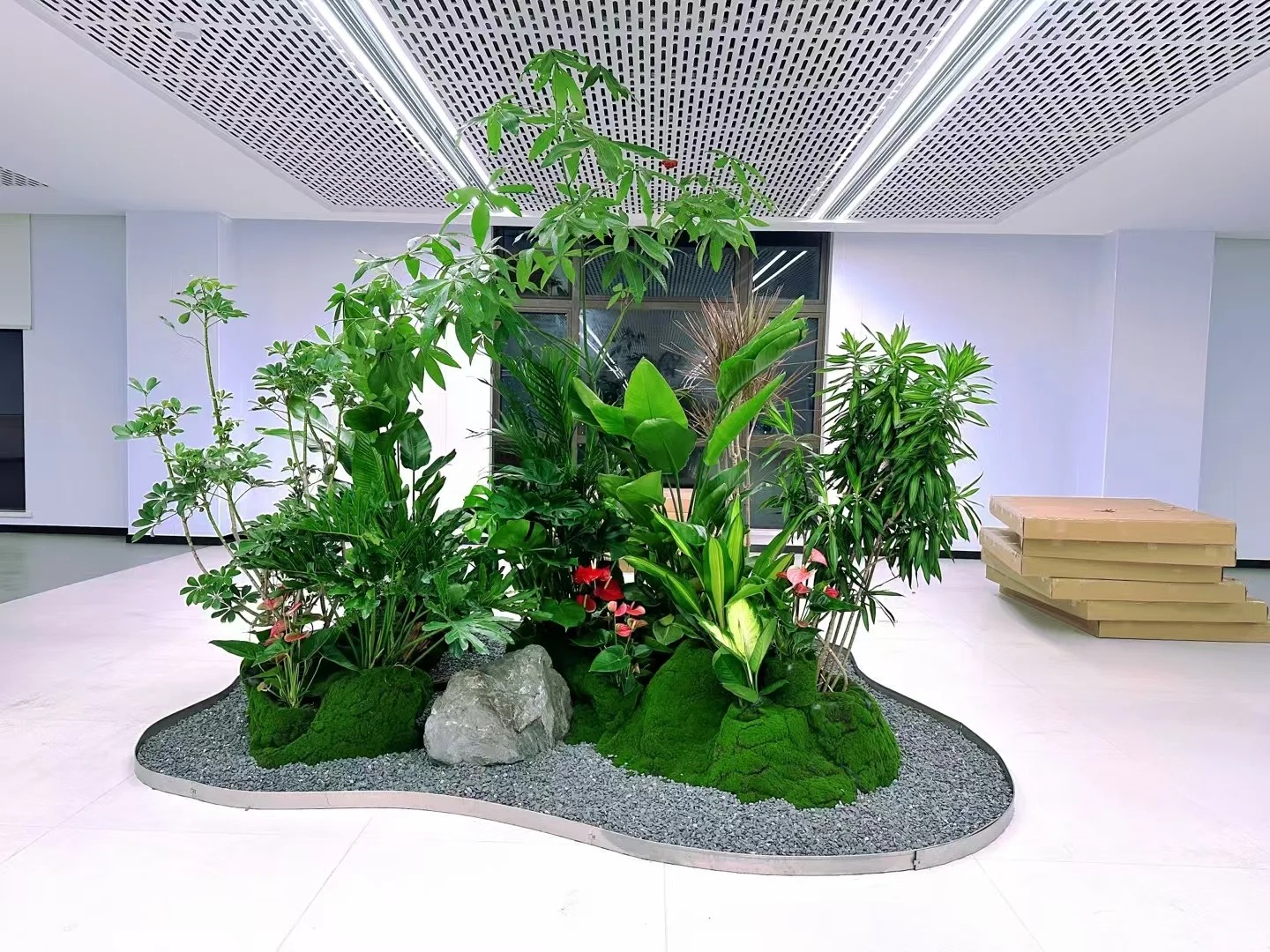 专业慈溪盆景出租,用绿植演绎空间美学